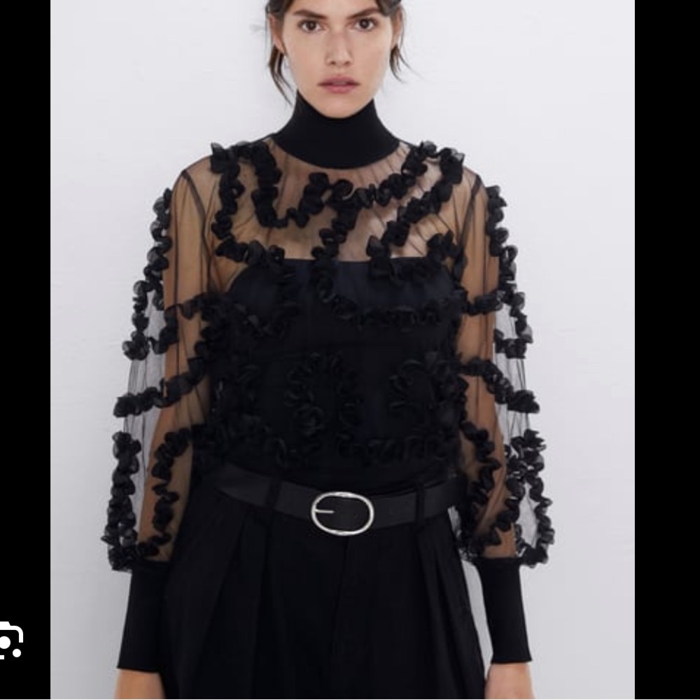 Zara Black Semi Sheer Top